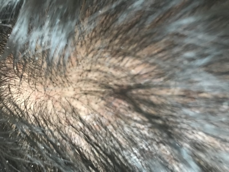 6C8B49B0-F0C6-4DC6-8E7B-5B999AD34AAE.jpeg