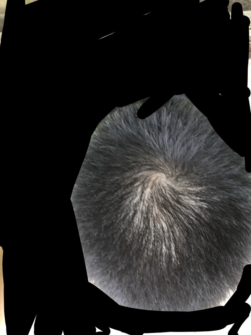 F13E413C-BF6D-4FA6-8E05-30A81268AD6F.jpeg