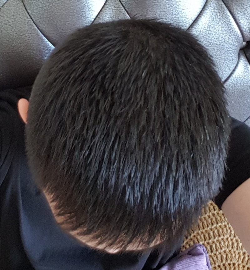 20180912_122558.jpg