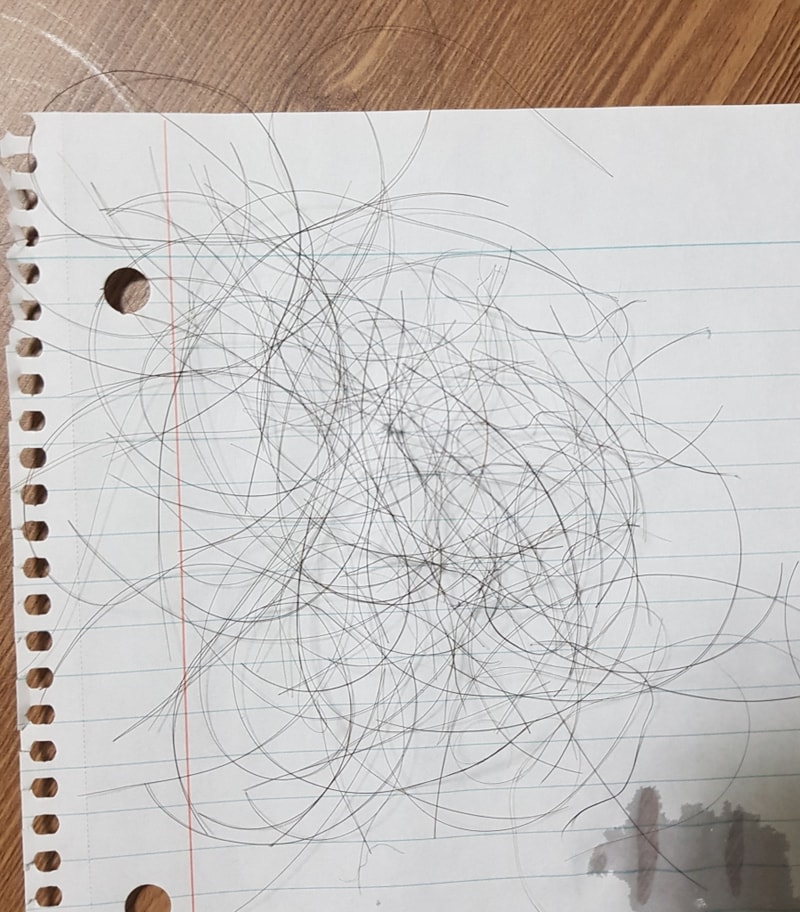 20180402_010119.jpg