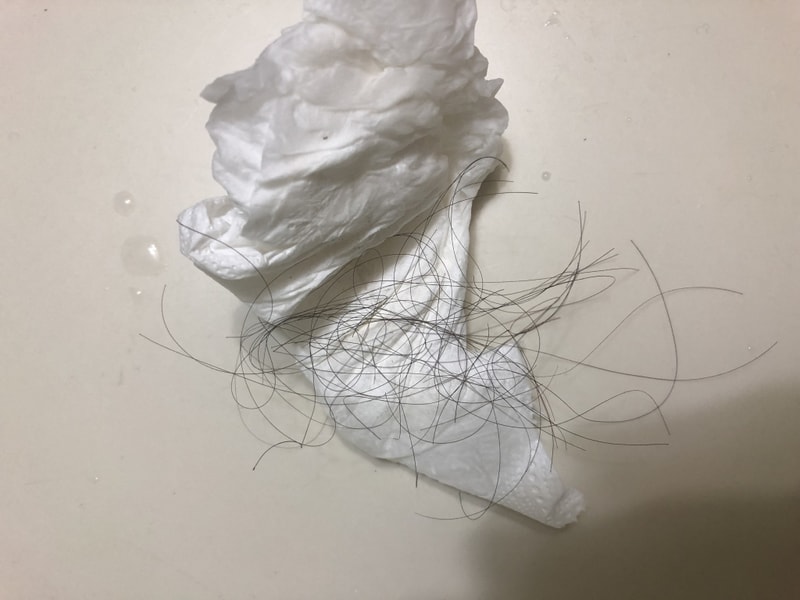 15DD15D8-C9E7-406E-8279-0718F1D6CD6C.jpeg