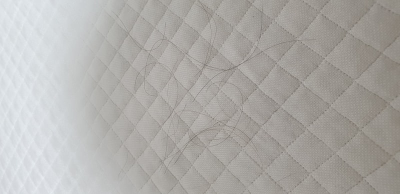 20190731_215759.jpg