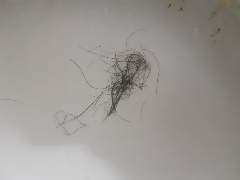 20191103_222026.jpg