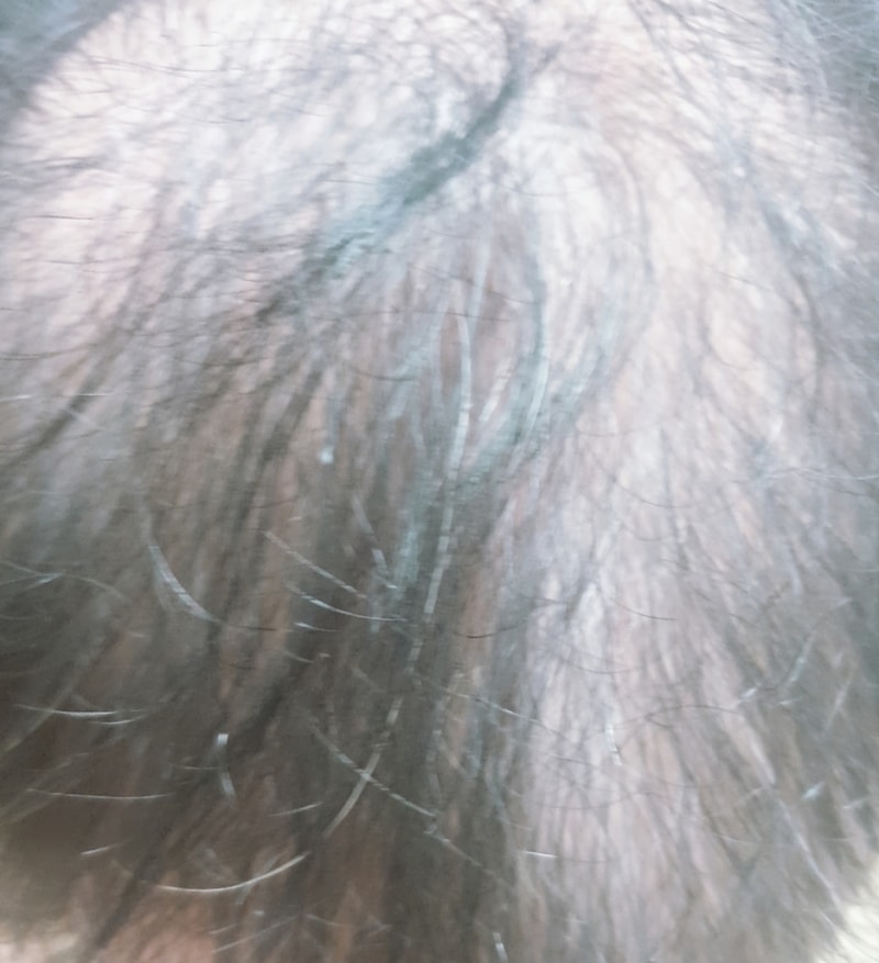 20190810_141213.jpg
