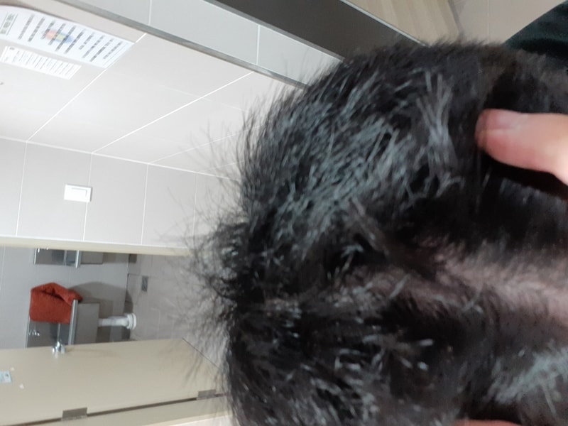20191006_191711.jpg