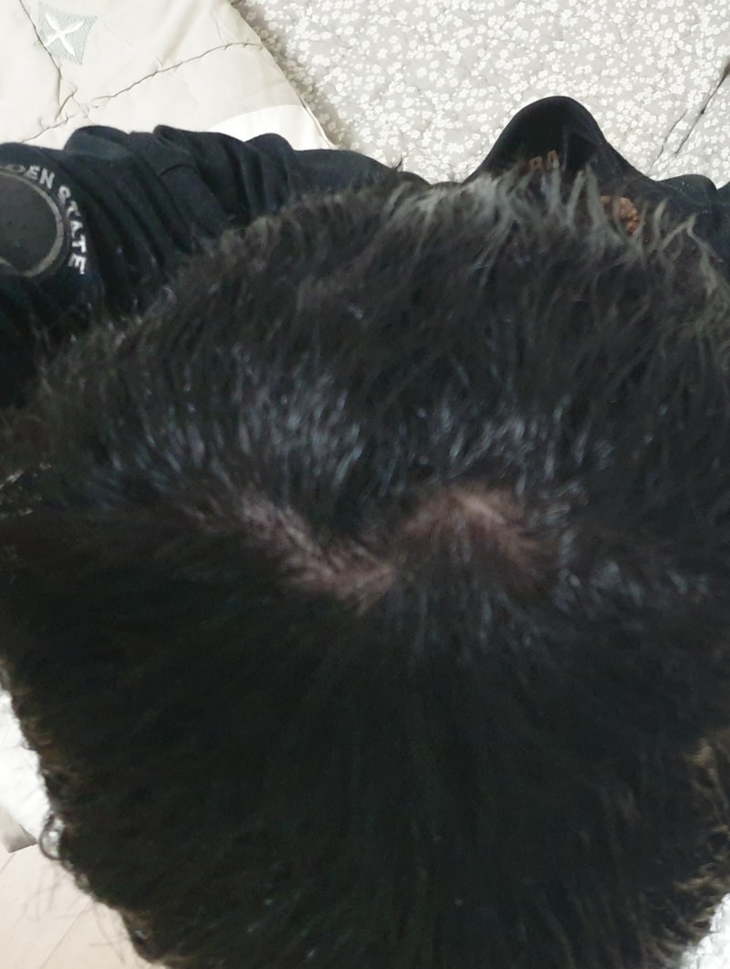 20191002_034213.jpg