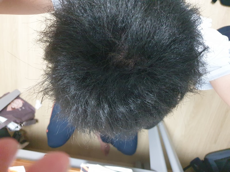 20190916_204325.jpg