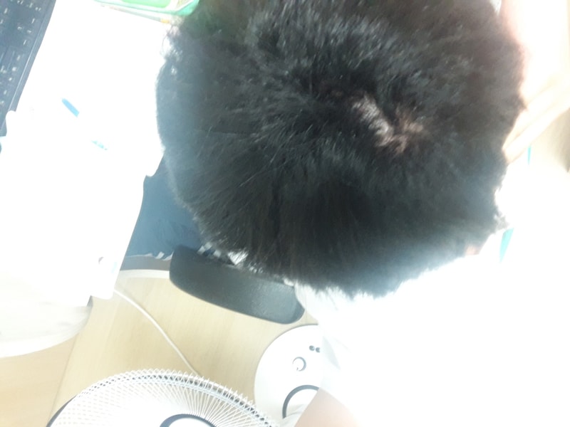 20190729_045215.jpg