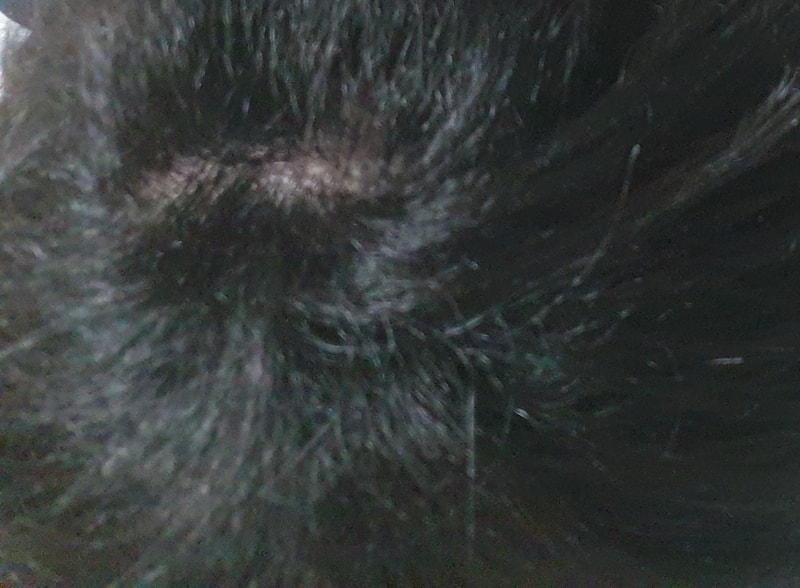 20200218_195920.jpg