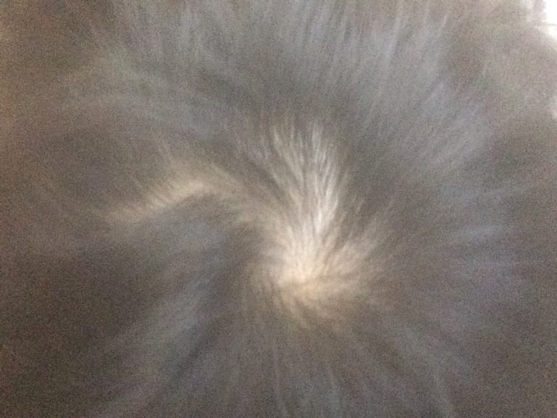 KakaoTalk_20170619_200924428.jpg