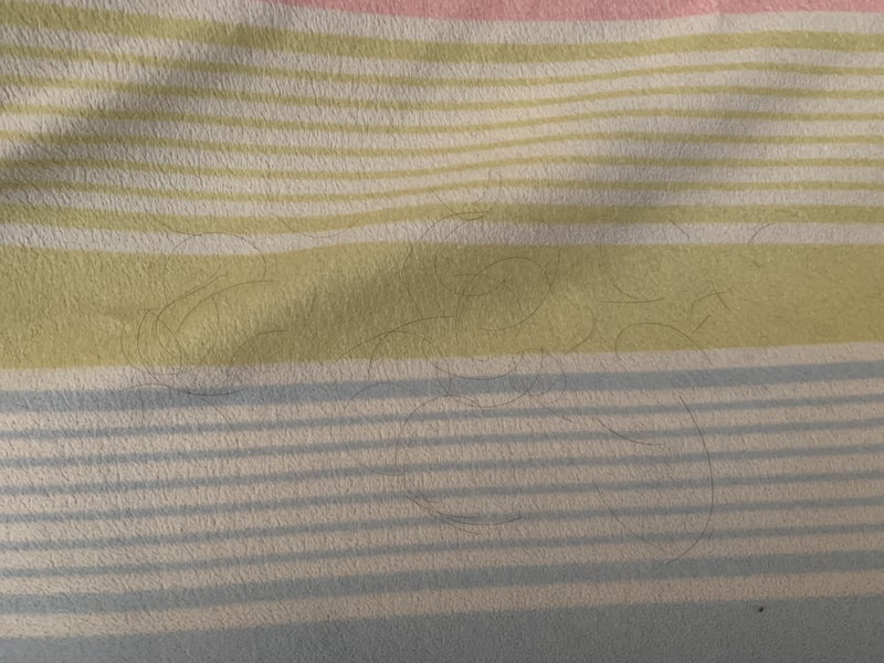 9E1BE9EC-CB18-4E81-A5CD-968A293248D6.jpeg