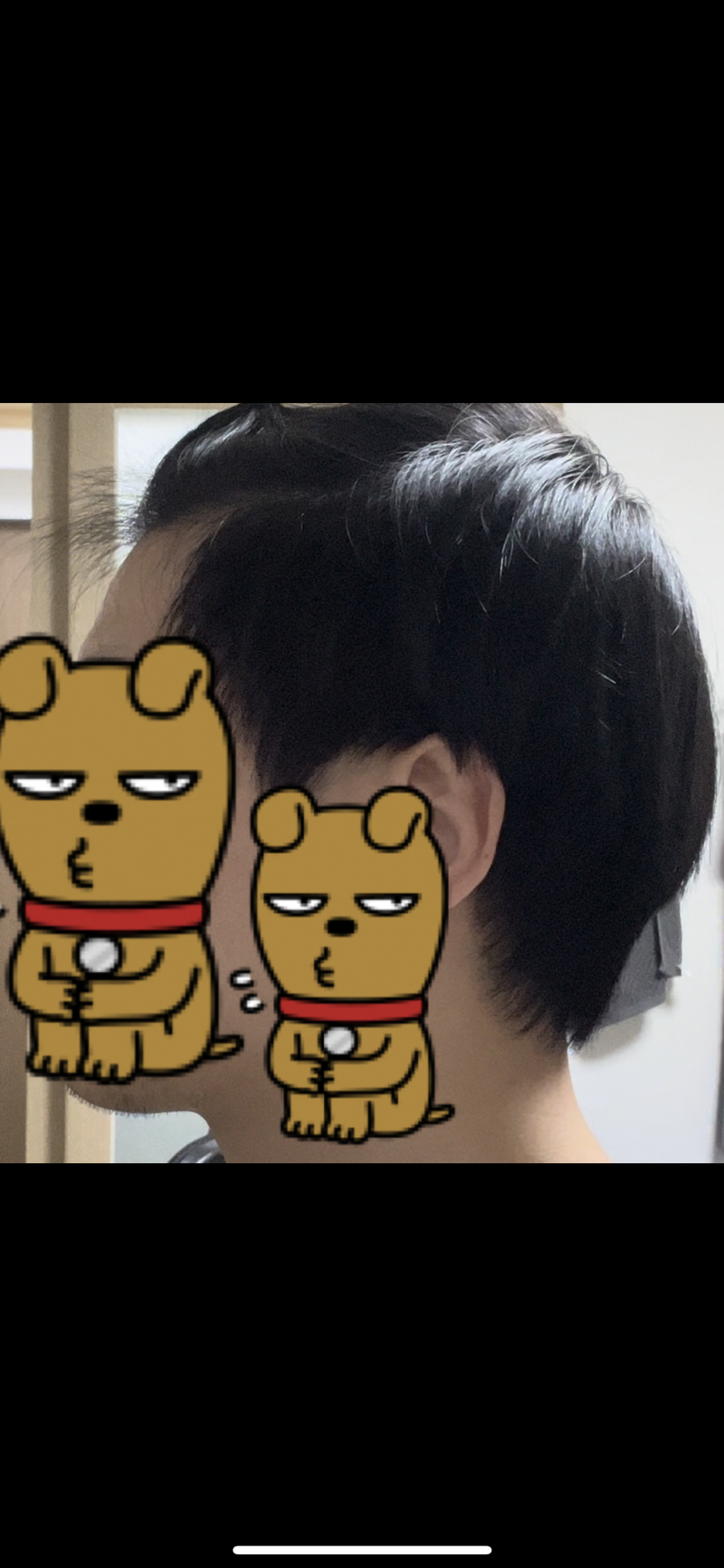 AB431F58-746A-4423-AF3F-DBBB548A3FE7.png