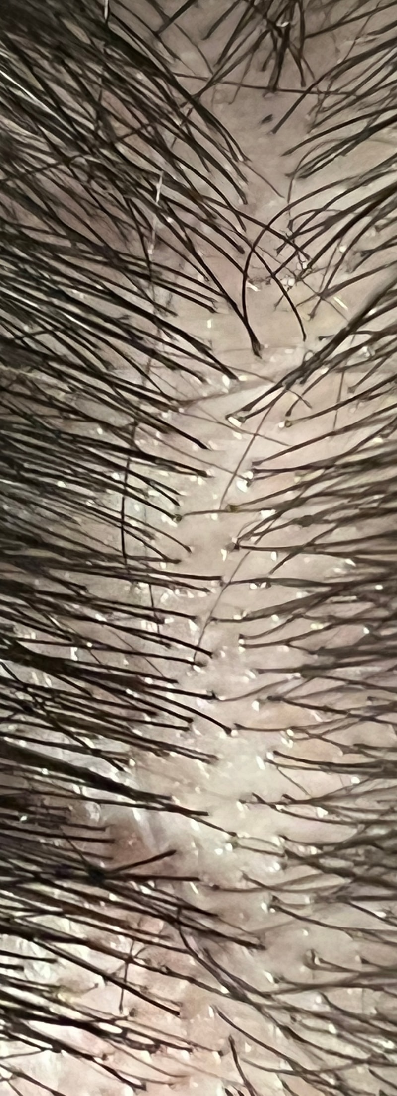 5BA1B460-829F-4DCE-84C9-F95460EDEFF4.jpeg