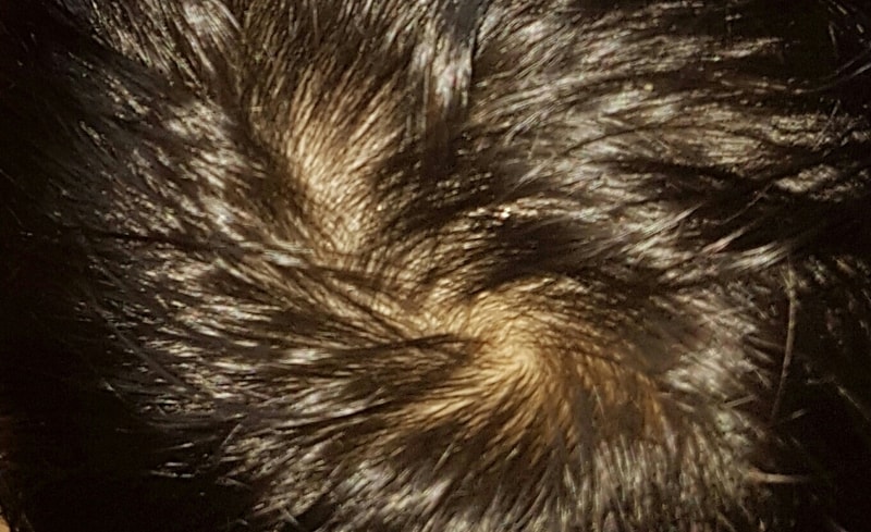 20160811_182808.jpg