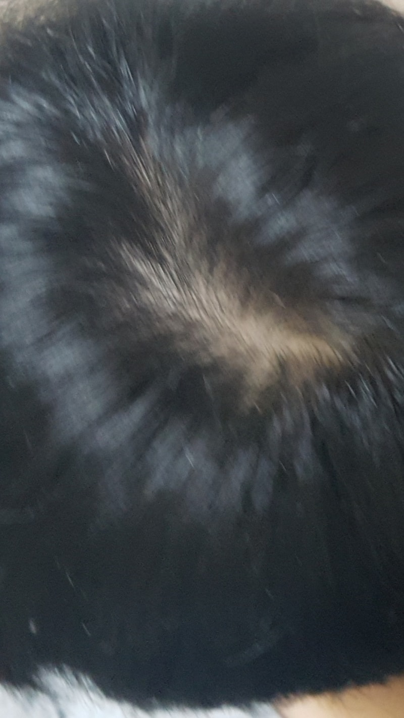 168F1056-BD4C-4741-B646-BE57A72EC2F1.jpeg
