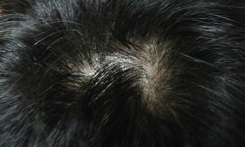CAM00201-1.jpg