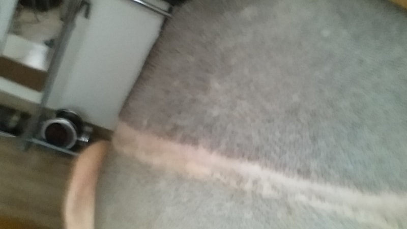 20150818_122915_Night.jpg