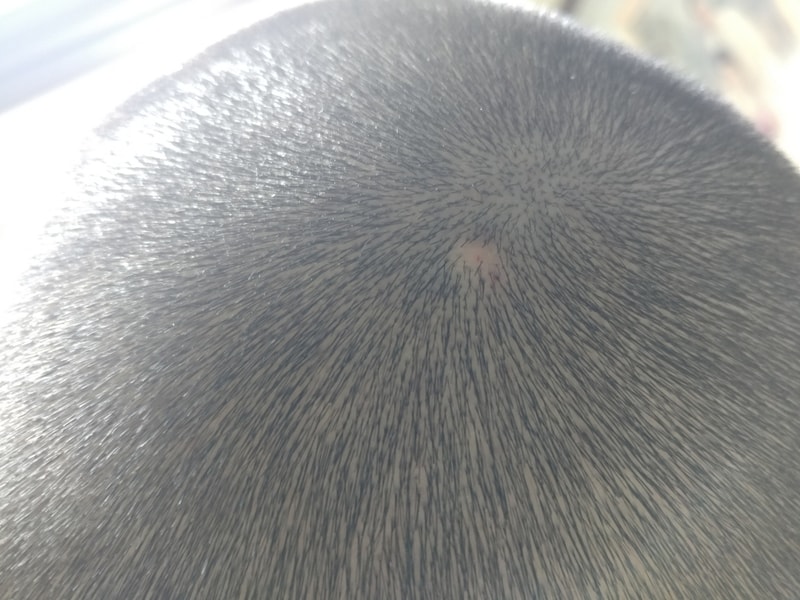 20190128_115748.jpg