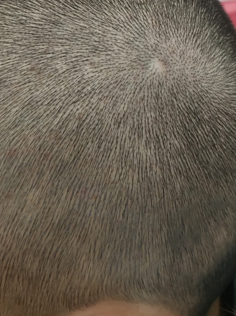 20190126_144909-1-2.jpg