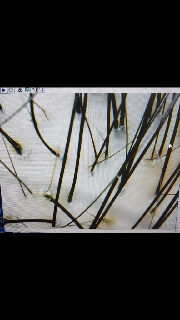 Screenshot_20170416-132426.png