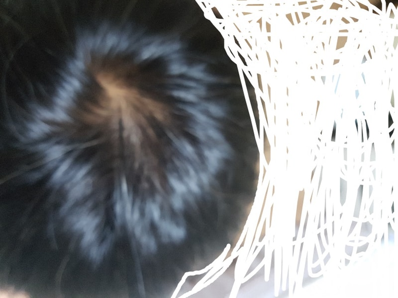 20160605_202716.jpg