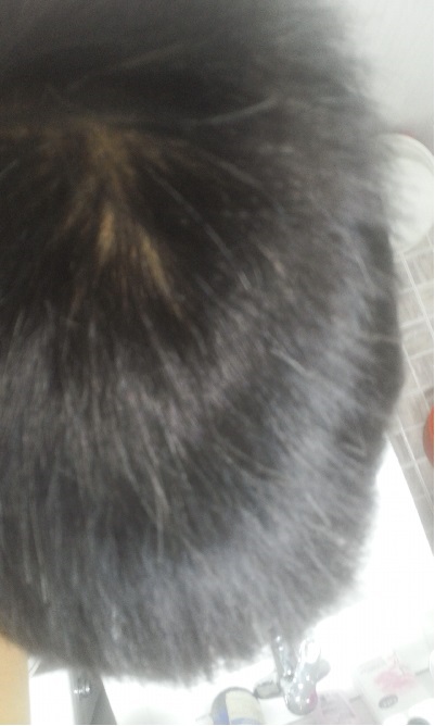 20160403_1604214.jpg