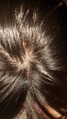 IMG_20170909_151855.jpg.jpg