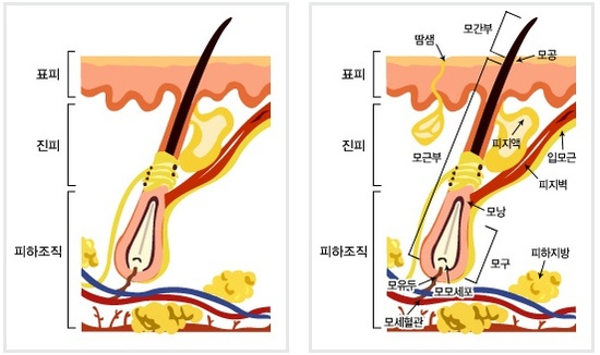 arumclinic_co_kr_20110125_094936.jpg