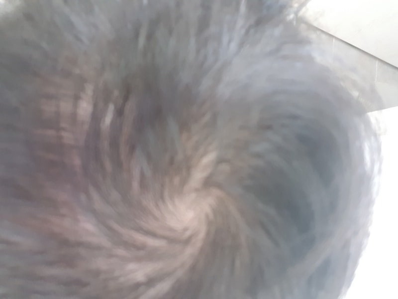 20180424_155032.jpg