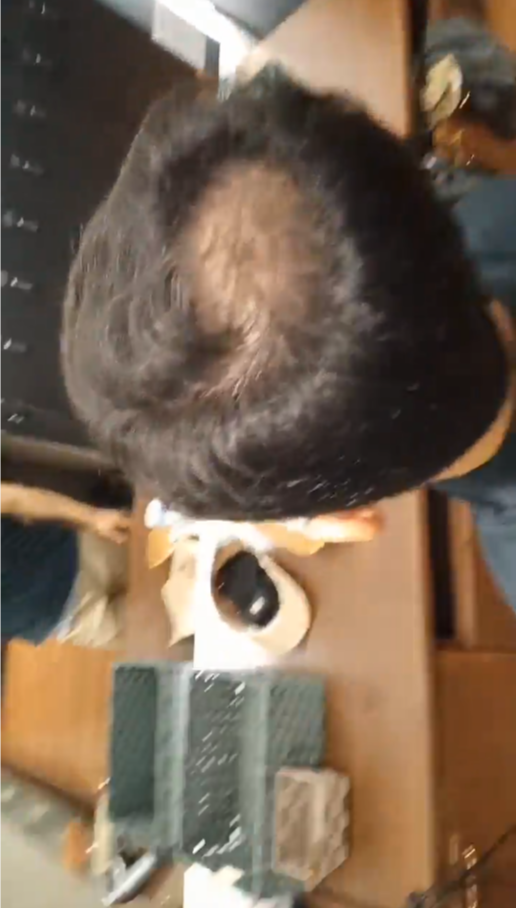 11.png