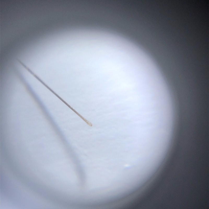 132C62AB-7D6B-4889-8537-1C2EF4A61936.jpeg