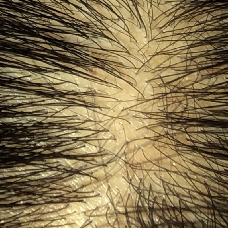13365CBD-255B-4E1C-903A-E76BBF1406A8.jpeg