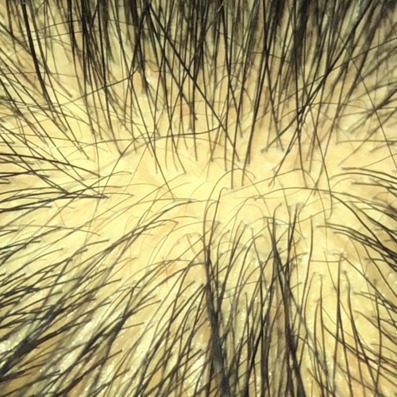 86F186CA-2DEB-486F-947E-39B5A04C4093.jpeg