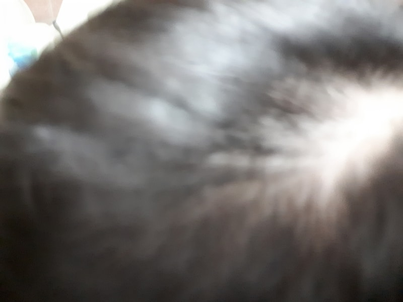 1521444641431881589450.jpg