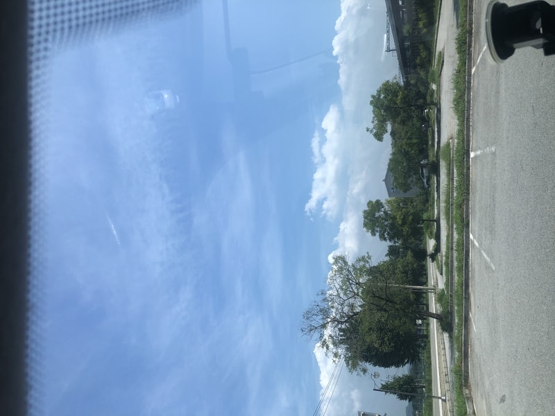 D90E62EF-DA40-493F-B240-E3D9F8133D82.jpeg