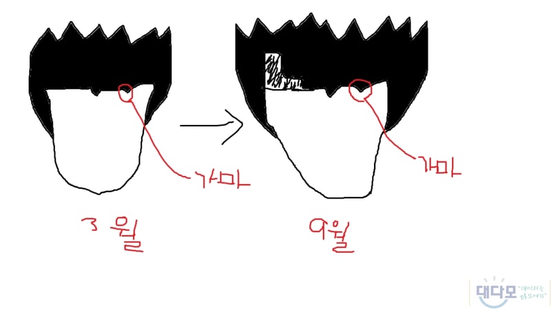제목 없음.png