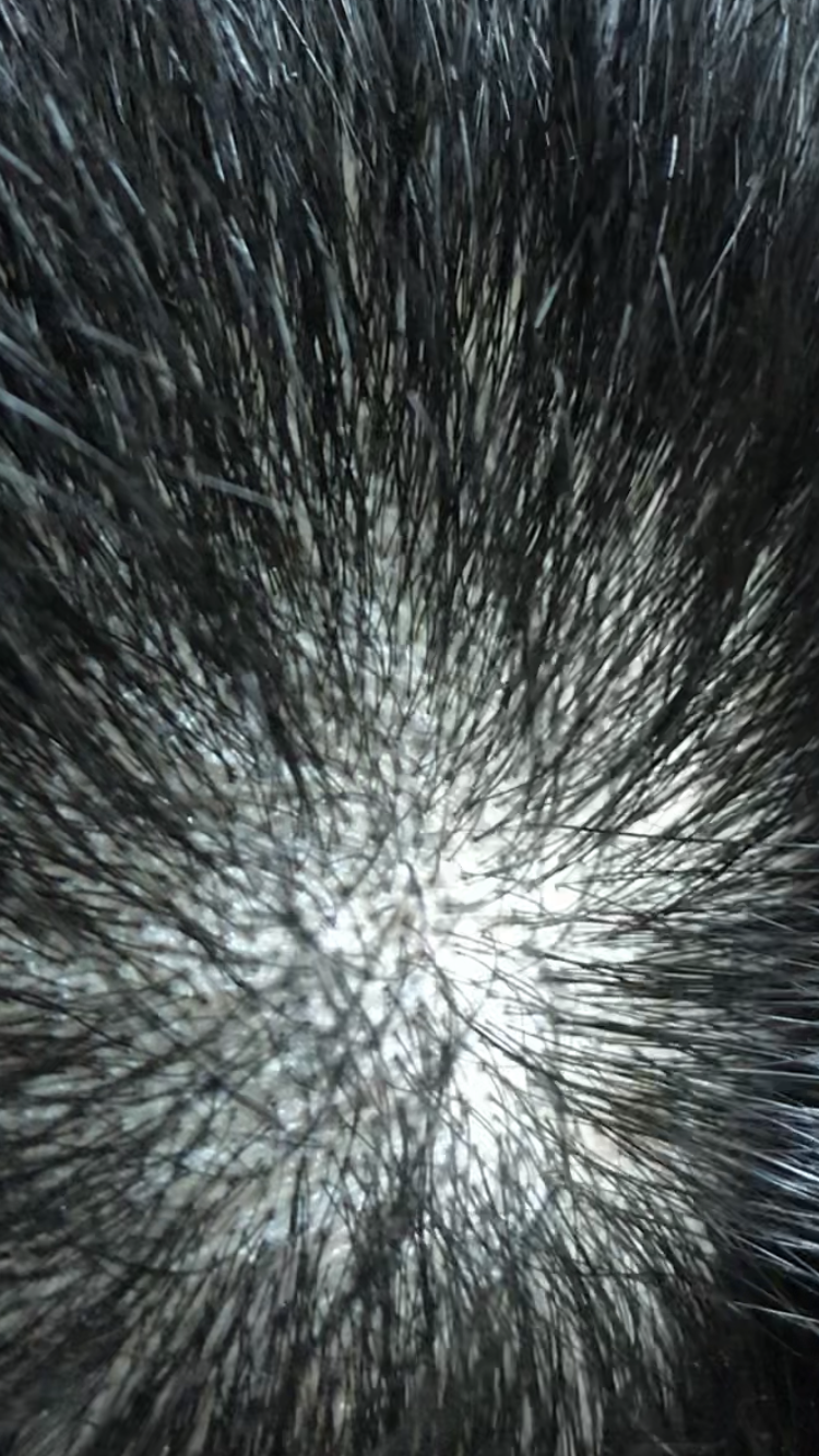 8B111184-85BE-4012-885F-0804623B2C8B.png
