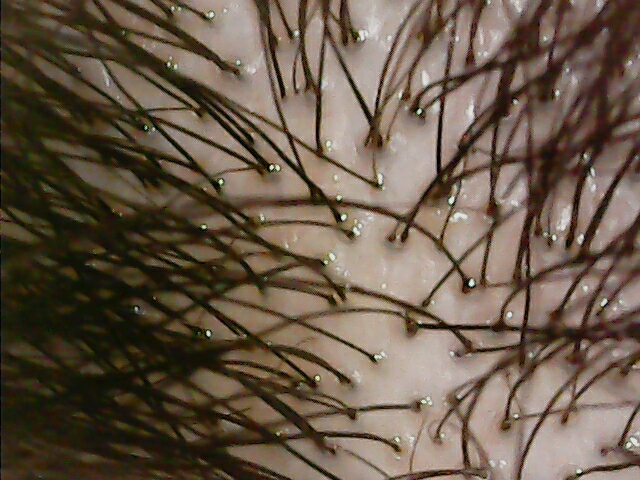 Image_2021-09-11 13_43_01_753.JPG