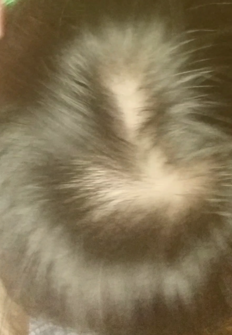 1502402766872.png