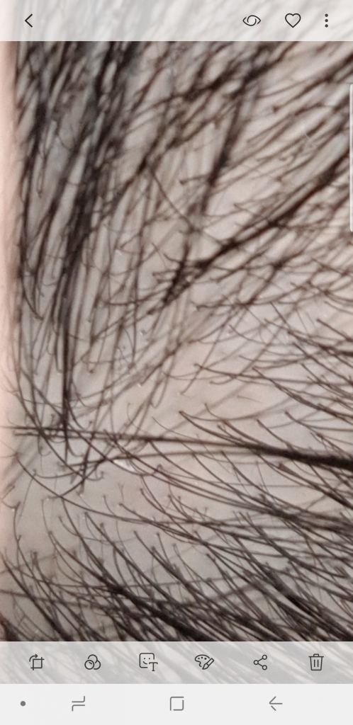 Screenshot_20190313-004111_Gallery.jpg
