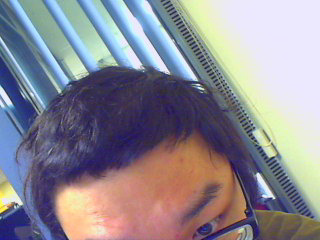 Picture 11.bmp