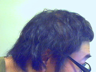 Picture 12.bmp