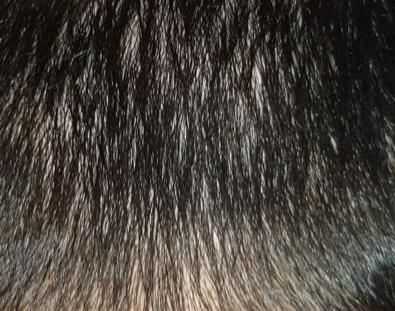 20190607_135141.jpg