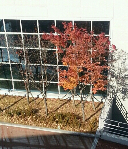 20141115_133053_243-1-1.jpg