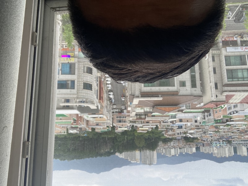 DCBE0E84-B1DE-4DA5-B60C-96B8BCDB9B65.jpeg