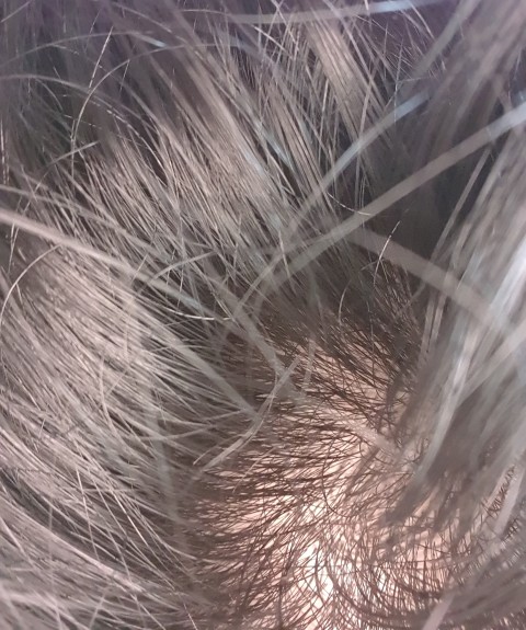 1688457597950.jpg
