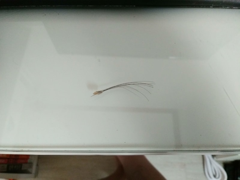 20220922_121713.jpg