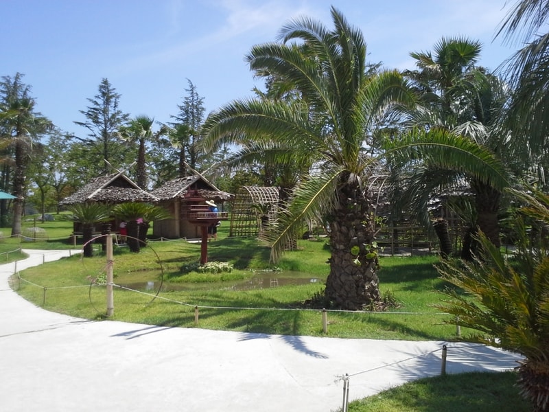 20130816_115127.jpg