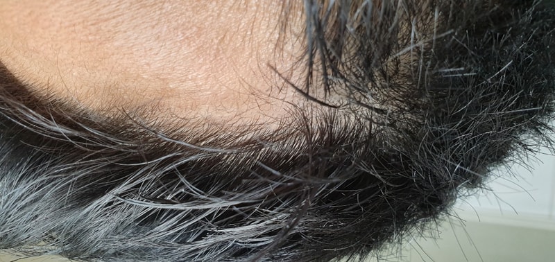 20190814_025921.jpg