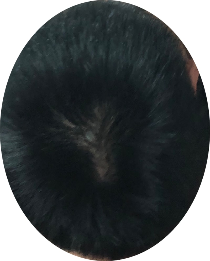 1F91B994-5749-43B3-8500-B1A25014484F.png